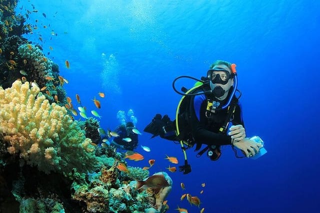 Snorkeling Trip At Satayh Dolphin Reef