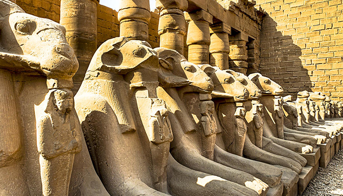 Day Trip To Luxor