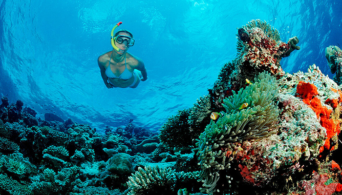 Snorkeling Tour