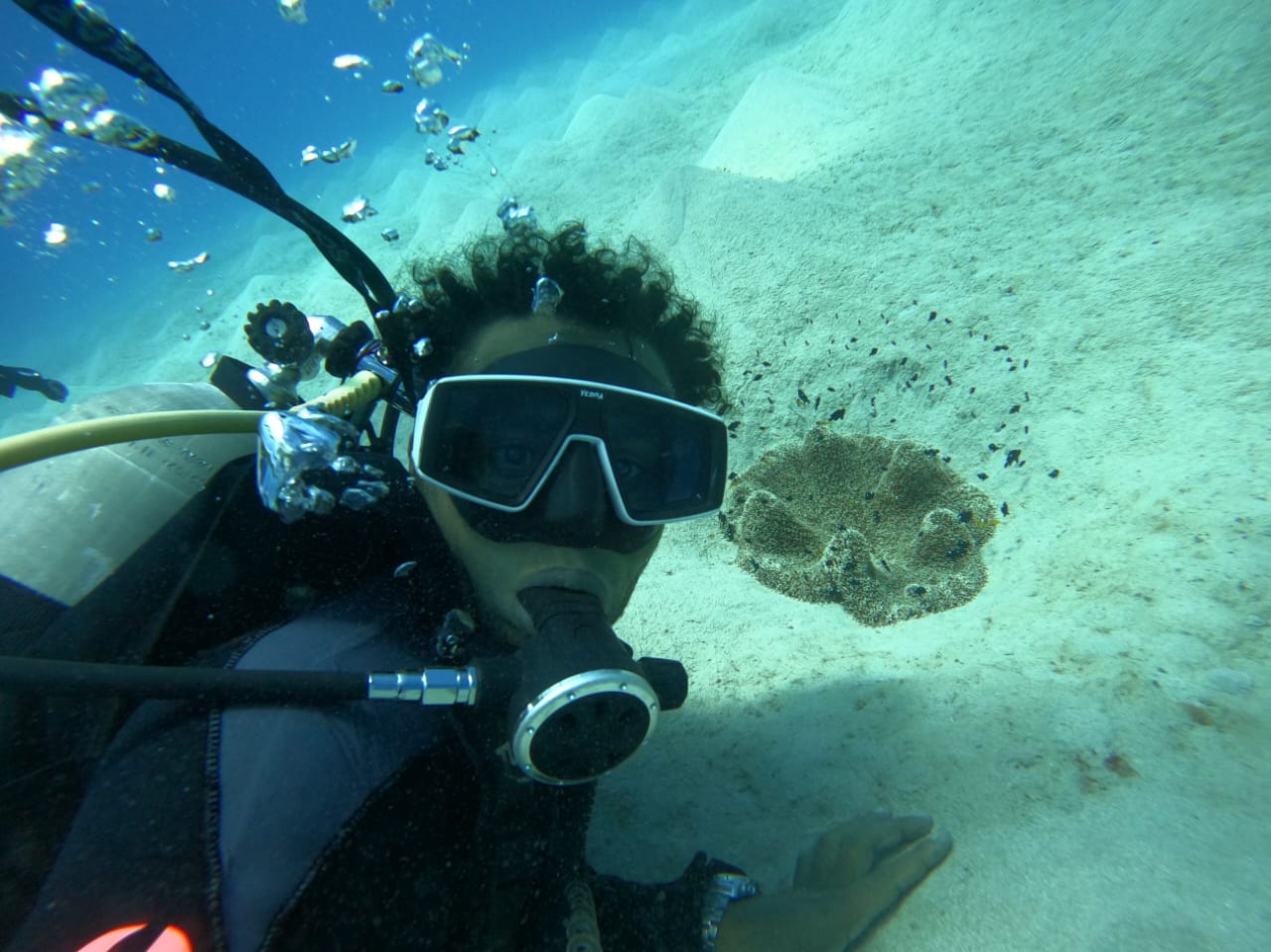 Day Trip to Marsa Egla