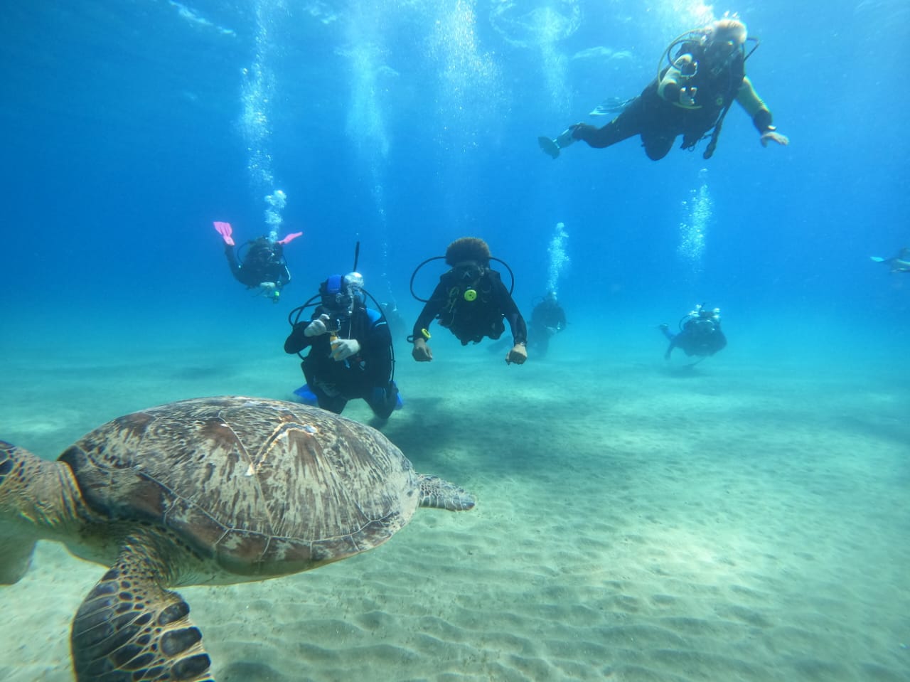 Day Trip to Marsa Egla